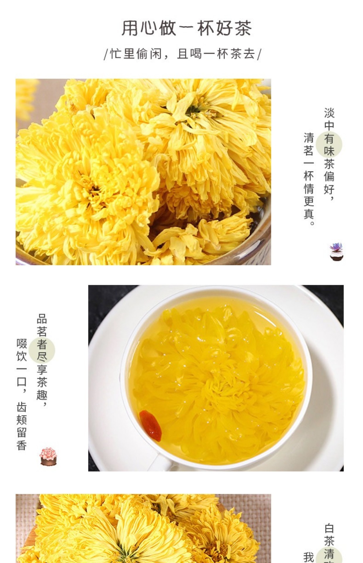 Golden Silk Chrysanthemum Tea Large Blooms Jin Si Huang Ju 50g One Flower Per Cup key features