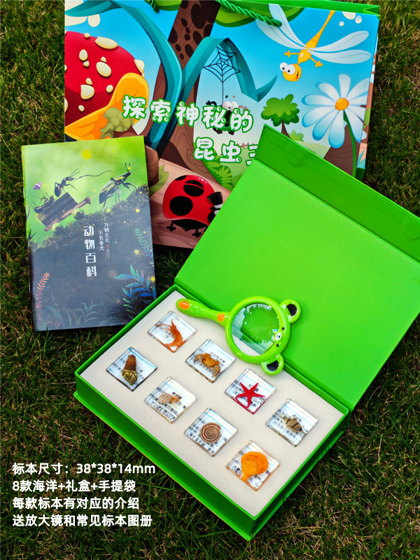 8가지 바다 무작위 스타일 + 선물 상자 + 선물 가방 옵션