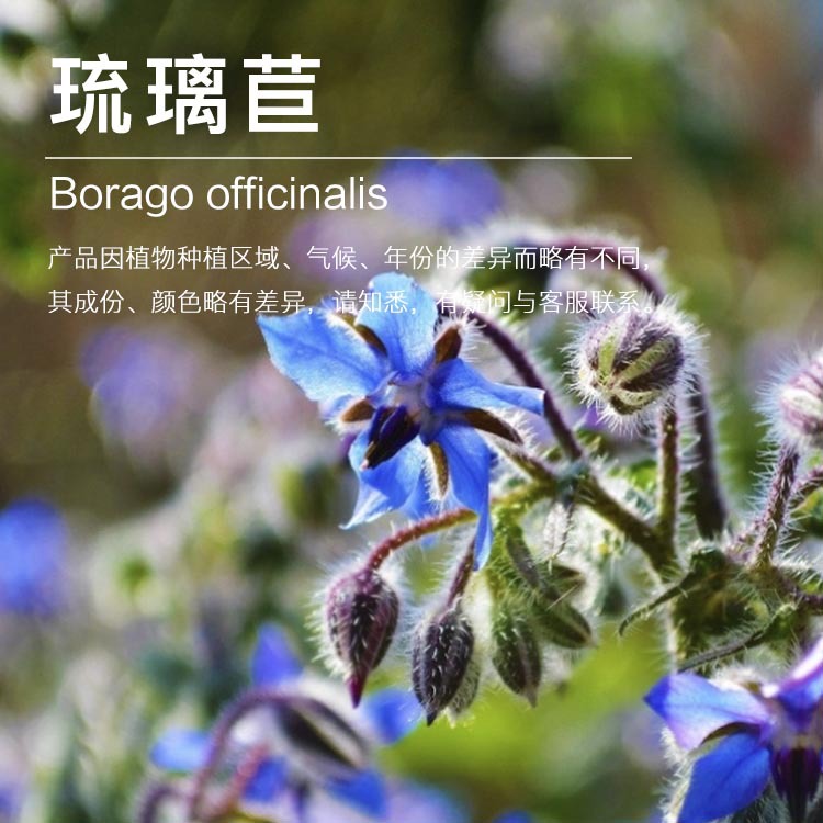 �������� ���������� ������ѹե ������ԭ������ ��ӭ�ɹ�