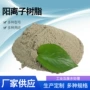 大孔吸附交换阴离子树脂