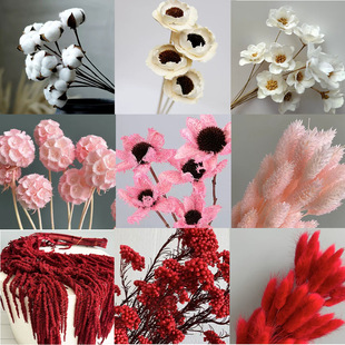 ��õ��M�ϸɻ� ���ٽz�Ҿ�ܛ�b�b�������һ��5֦���^�������l