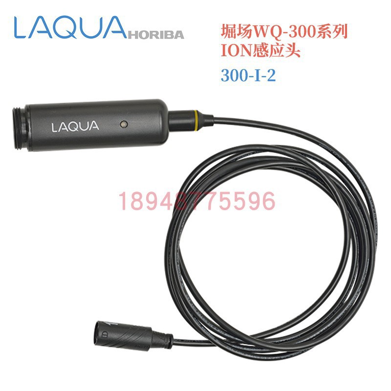 原装日本HORIBA堀场 ION感应头300-I-2