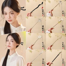 2026�¿���L�l��Ůľ�|�������K���u�߼�������ʽ�P�l���h���l�