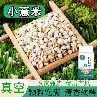 ����С޲����؛���r޲����С��޲��С��޲�������С���b�F؛���l