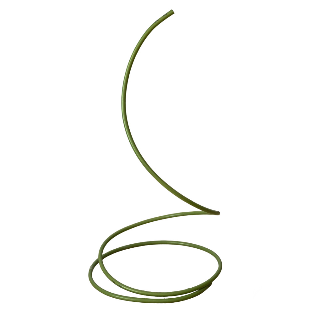 2.5 El arroz verde (delgado)