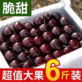 传统糕点;西式糕点;饼干