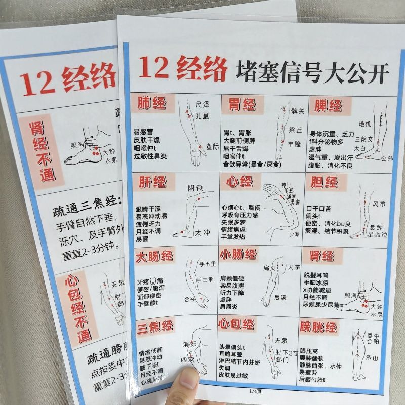 Complete Guide to the 12 Meridians of Traditional Chinese Medicine: Blocked Meridians, Their Corresponding Symptoms, Improvement Methods, Massage Techniques, and Thickened Greeting Cards