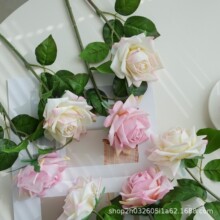 �Wʽ�ٻ����滨����õ���ָЬF�����s�zӰ���߼Ҿ������b�Ʒ�[��
