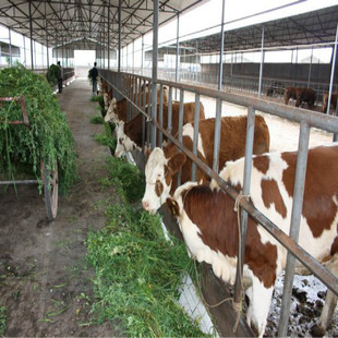 �Nţ�Bֳ�����l ���T����ţ �����Sţ ţ���Ӄr�����