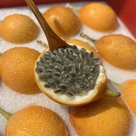 块茎类;苹果;瓜果类
