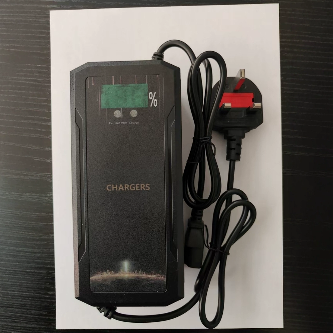 60В английский шрифт заголовок 12A20A свинцово-кислотное зарядное устройство трехколесный электрический автомобиль универсальный