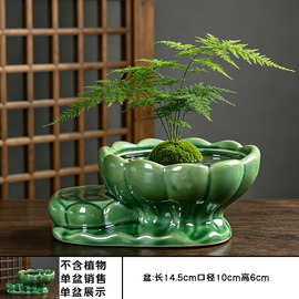 水培花盆陶瓷器皿铜钱草水仙花文竹花盆碗莲荷花水养专用花盆批发