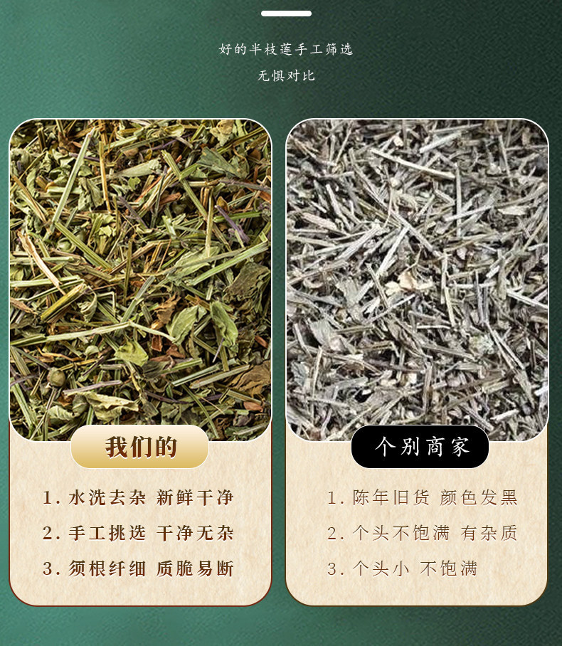 Ban Zhi Lian Dried Scutellaria barbata Herb 500g Wild-Crafted Sulfur-Free Traditional Chinese Herbal Tea and Decoction Herb overview