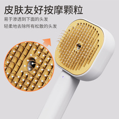 跨境宠物喷雾梳猫咪清洁按摩猫癣灯浮毛加湿刷针梳除毛器喷雾梳子