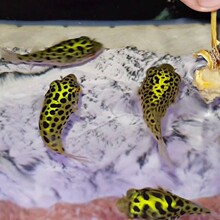 ��ˮ����������^�p�~���R���^�~���ݝ�ˮͧ�~�ɐۺ��B�ͻ����