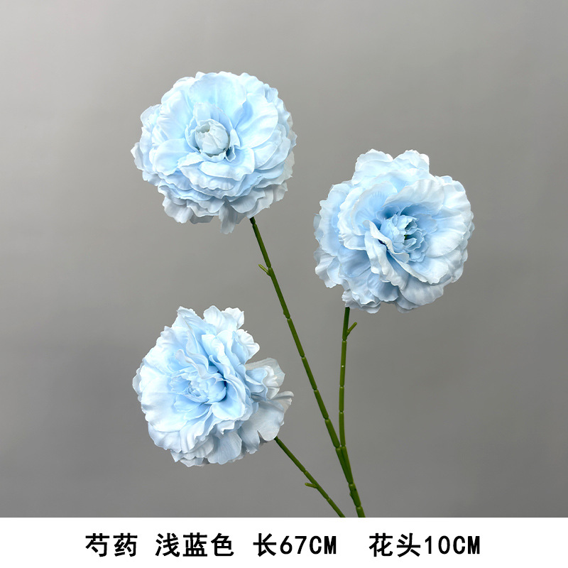 모란 하늘색