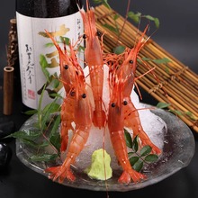 加拿大牡丹虾刺身新鲜鲜活冷冻超大号海虾北极甜虾日式料理