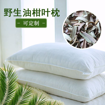 Oil lime leaves pillow buckwheat Pike Pillow Niuganguo Yuganzi Pillow core adult children Single Pillow core