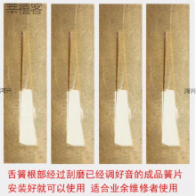 ���J�z�͞������Ƭ�{�{���{�{�{�{���� �S��ֱ�N��ƷëƬ