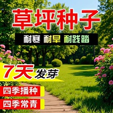 ��ƺ�N�Ӳ����ļ�����G���o�¹�������Ľ�����é�����ݲ�Ƥ�N��