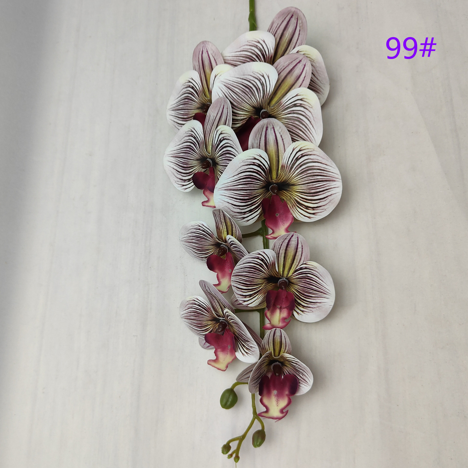 IMG20230509162533_副本