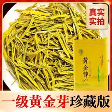 黄金芽茶叶23新茶雨前安吉白茶高山绿茶黄金茶精美罐装厂一件批发