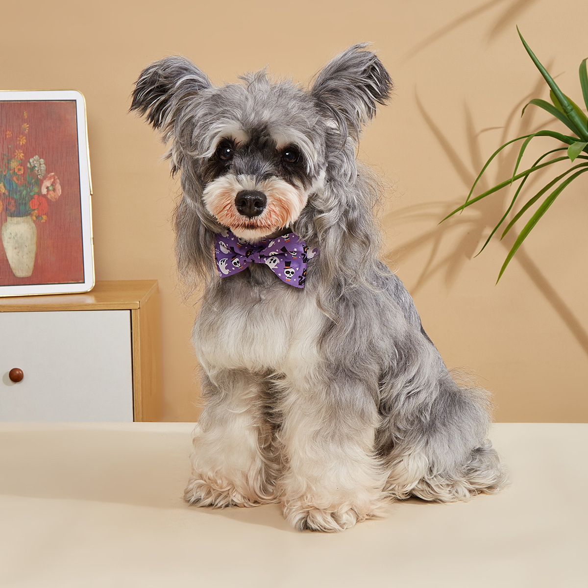 TANPOPPO Halloween Ghost Print Pajarita para mascotas Medio y pequeño Perro Bowknot Schnauzer Bear ajustable