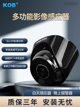 KOBӰ��Б����Б��T�Ԅ��T������̽�^�����T���A늄��Tƽ���T