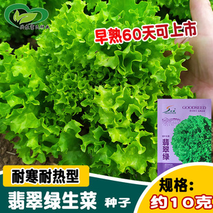 �򴺾G������˷N�� �ˈ@�r�����~�����������˷N�� �̨�����߲�