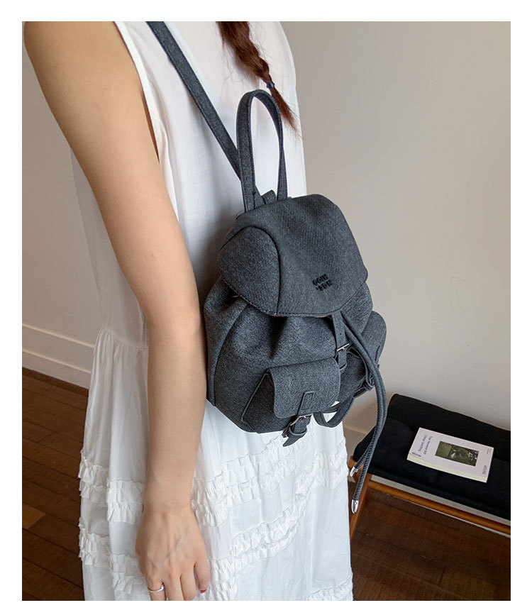 "College Style 2025 New Korean-style stylish mini Backpack, double pockets, lid style backpack, casual travel bag. undefined