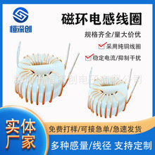 ʴŭh늸 늸 ׃늸T31*19*131.5MH   10A