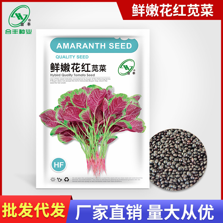 鲜嫩花红苋菜种子大叶苋菜种籽圆叶红苋菜种籽耐热夏秋季蔬菜籽种