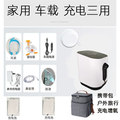 Hava təmizləyiciləri Travel Car Small Oxygen Generator - two-charging-car-home-configuration-03