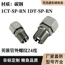 1CT-SP-RN碳钢1DT-SP-RN液压接头卡套式过度端直通接头GE-R-KEG