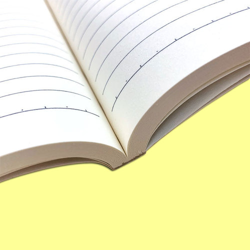 A5 Notepad Notebook Soft Cover Spiral Binding Student Office Thick B5 A5 Soft Copy Notebook