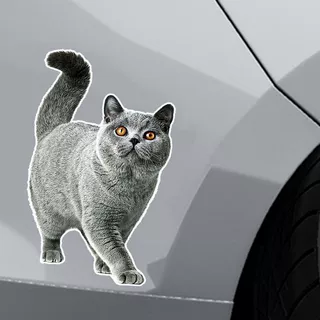 汽车贴纸汽车贴纸3D逼真可爱猫咪车身保险杠装饰贴家具车贴防水