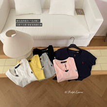 RL�ɒ߸�Ʒ�|2026�ļ��¿�С�R�̽����e���A���������V�It��Ů