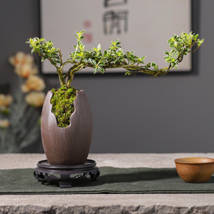 ��߅����ѩ��������С����ֲ���k������[���҃��_���ߙn�辰