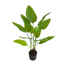 �߶��p�ݷ���Gֲ���Կ͏d��ط��������Bֲ��٘���ؔ[��