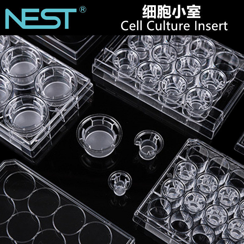 耐思NEST细胞小室transwell嵌套PET聚酯膜 PC聚碳酸酯膜723101