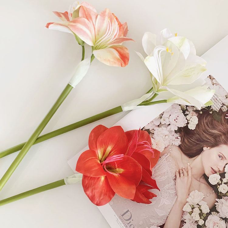 仿真花手感3D君子蘭朱頂紅婚慶裝飾軟裝設計影樓擺設高品質花材