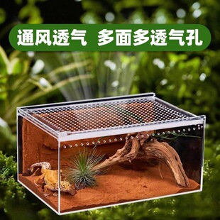 ������B�䌙��΁ţ����ǁ������،m���������֩�������B��