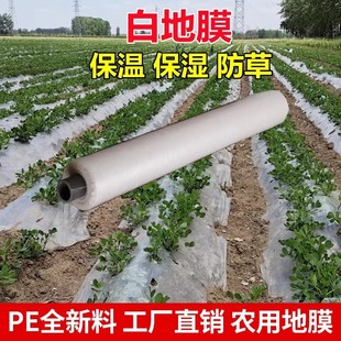Agricultural White Cover Peanut Mulch Agricultural Planting Garlic Watermelon Insulation Plastic Film Ground Engineering Film