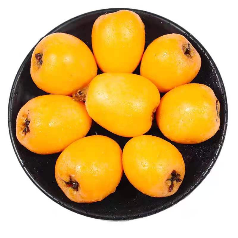 四川枇杷产地直发当季水果米易枇杷顺丰包邮新鲜水果枇杷一件代发