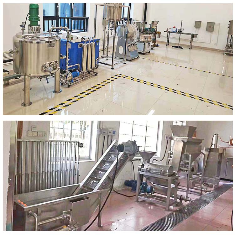 供应研发用果汁饮料生产线果蔬复合生产线