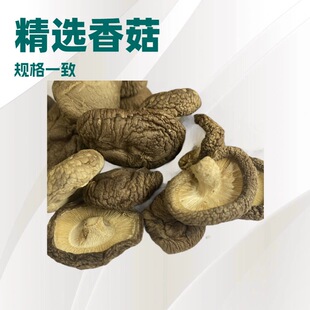 �|���㹽������؛�˹����x�Ƀ�������ζζ���������r��ժ��������