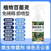 百菌灵微生物菌剂枯芽孢菌杆菌营养液农用烂根黑斑病根系