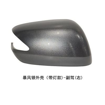 Generation Fit Reversing Mirror Housing – Rear mirror/rearview mirror assembly - model-with-light-on-the-right-side-of-the-passenger-side-storm-silver-shell