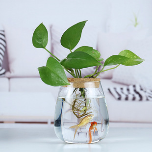 Micro-Landscape Hydroponic Plant Bottle High Borosilicate Glass Succulent Vase Office Pothos Ornaments Small Fish Tank Landscape Bottle