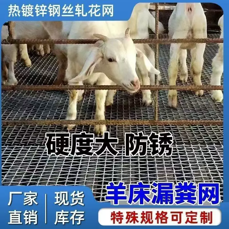 羊床网养鸡鸭鹅漏粪加粗养殖编织网动物园围栏网热镀锌轧花钢丝网
